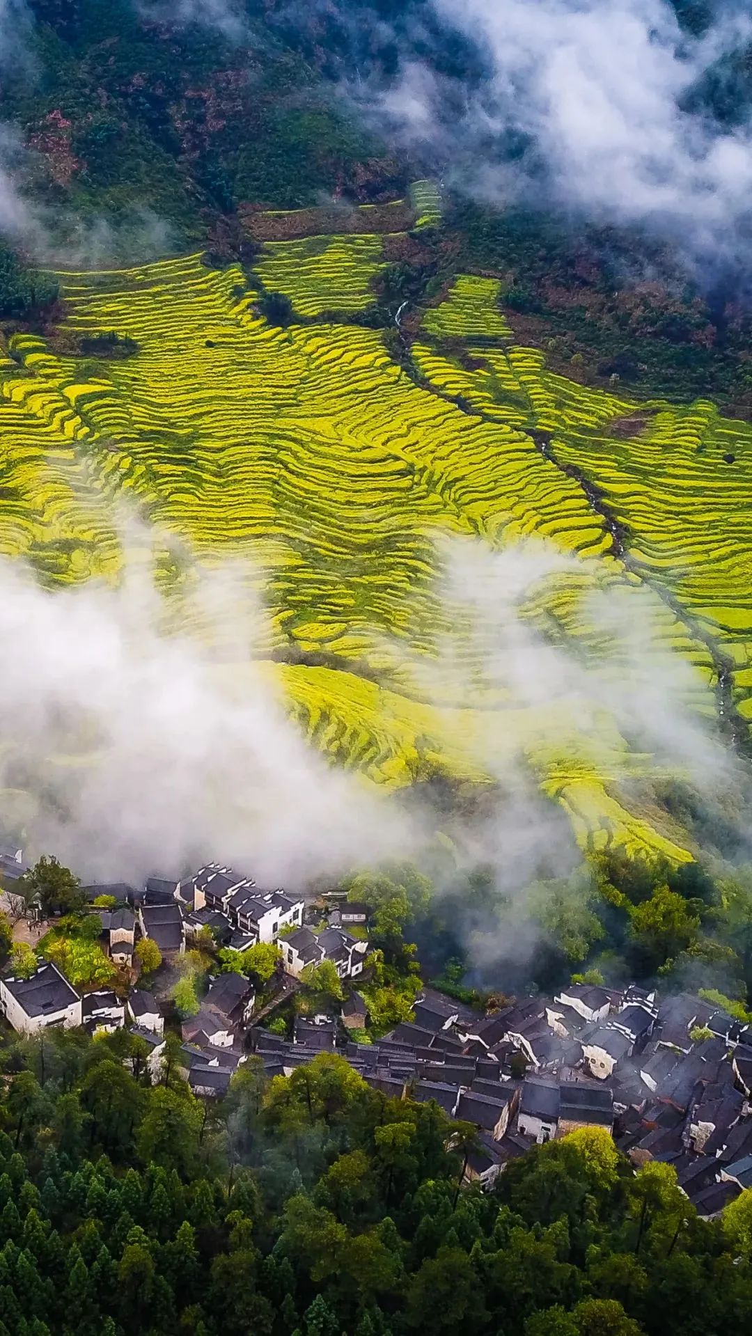 江西之旅,行吟赣鄱美景