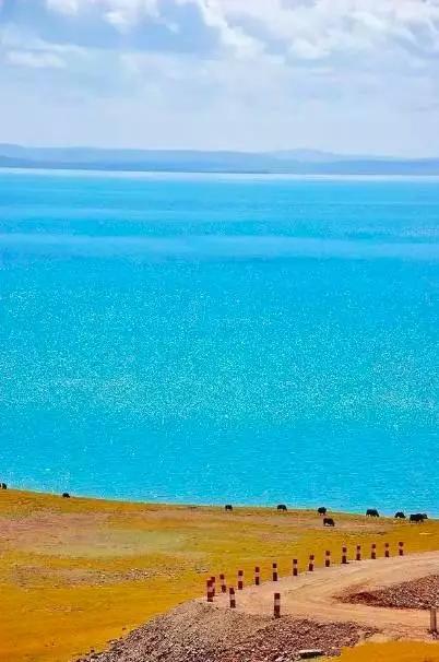 青海探秘，自然与文化的交汇之地