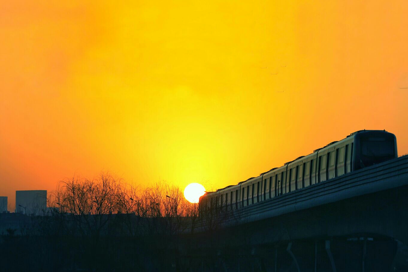 朝阳现象，一种视角下的深度探讨